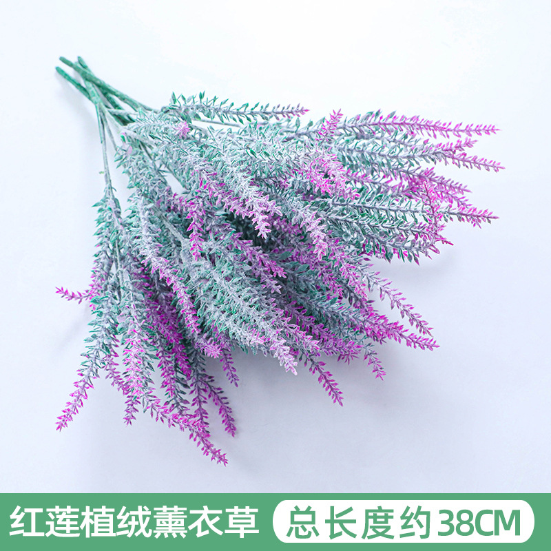 purple red