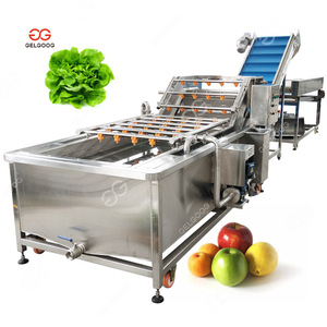 Verarbeitung linie zum Waschen und Sortieren von Schlangen früchten Automatischer Sortierer Red Dates Palm Cleaning Machine