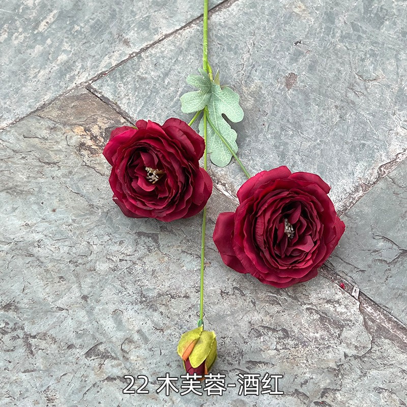 22 # bois hibiscus-vin rouge