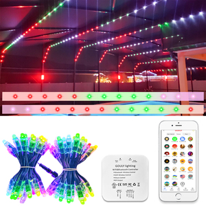 Gouly卸売屋外LEDフルカラーピクセルストリングライト12mmdc12v ip68ピクセルLEDモジュール照明ストリング - Product Image 1