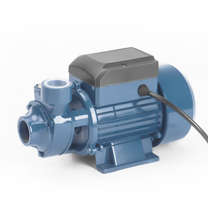 0.75HP Single Horizontal Copper Wire Centrifugal Water Pump for Domestic Use - Product Image 2