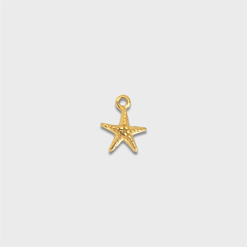 Petite étoile de mer