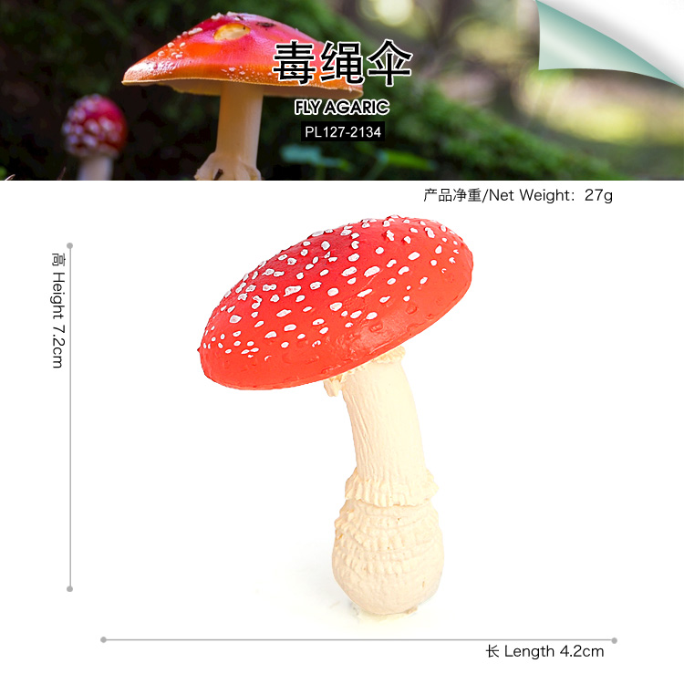2134 Fly agaric Fly amanita