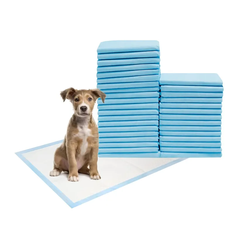 Оптовая продажа, супервпитывающий герметичный одноразовый коврик для обучения щенков, Подушечка для собак