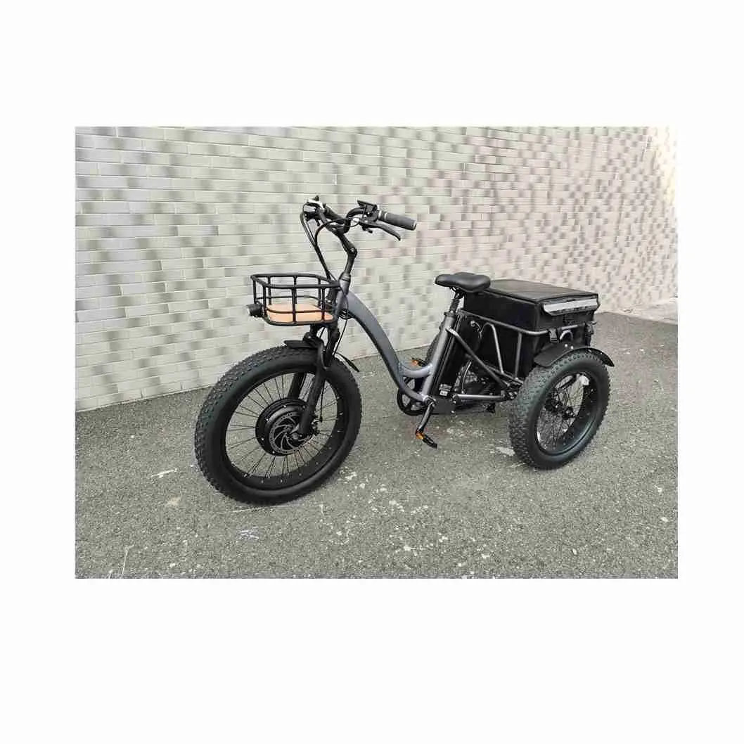 2023 nueva actualización 48V 1000W Motor triciclo eléctrico triciclo Motor de carga para triciclo