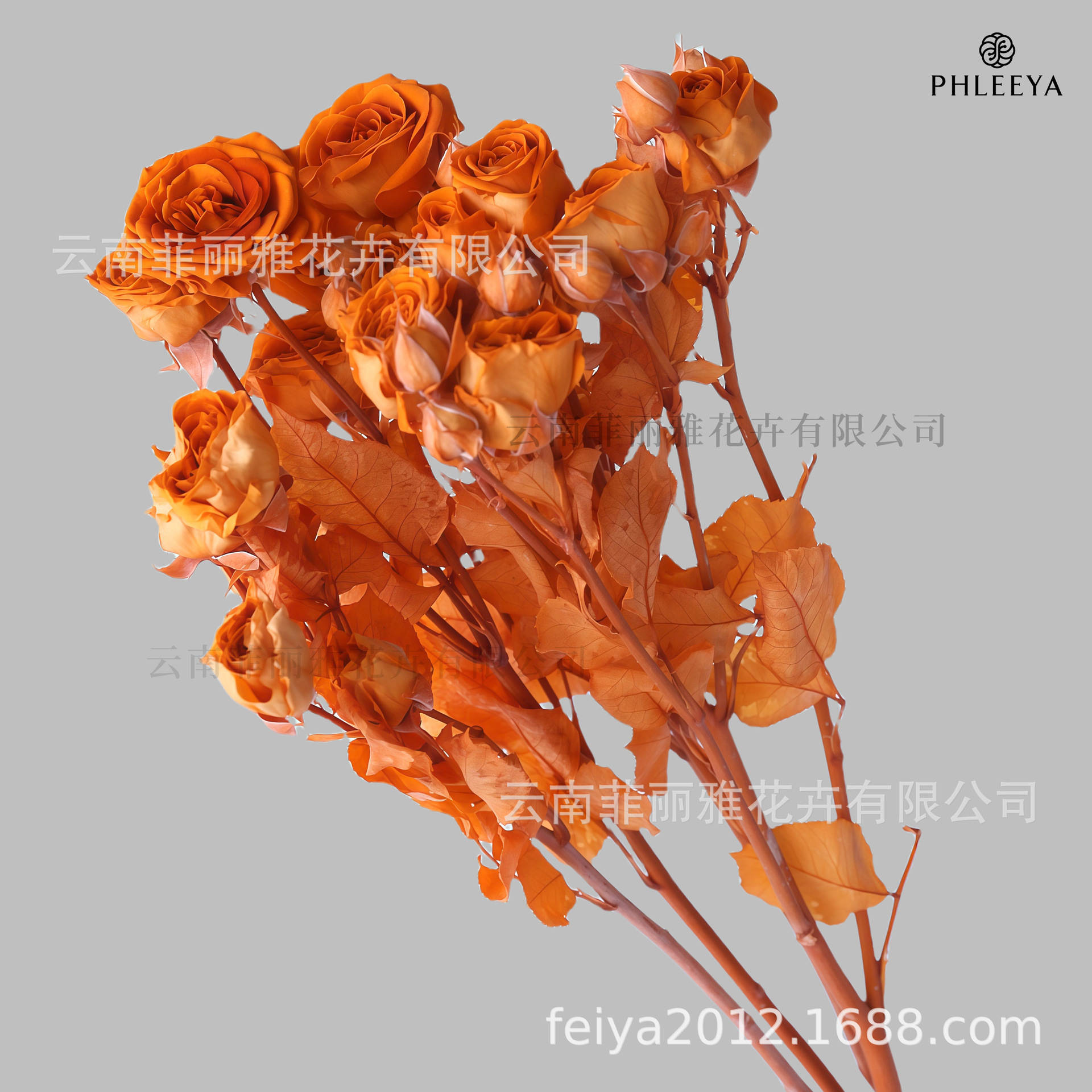 Orange miel