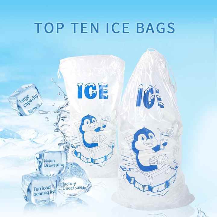 Pp usa e getta coulisse Bolsas Para Hielo En Mayoreo Cooler Freezer Bags per Ice Pop Food Cube Packaging stampa plastica