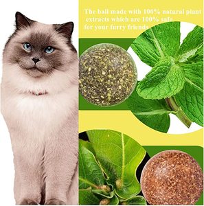 Colgar pared interactivo gato masticar juguetes aguacate Catnip comestible 100% hoja de menta Natural Limpieza de dientes Catnip - Product Image 6
