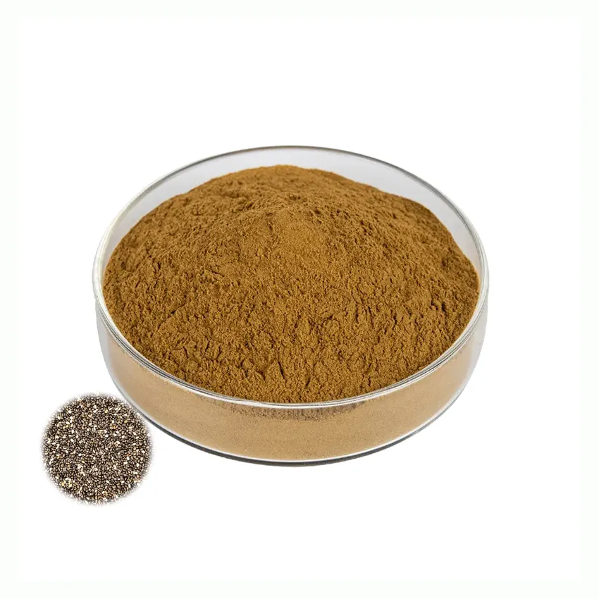High Quality Salvia Hispanica Seed Extract Natural Chia Seed Extract Powder