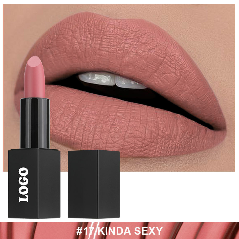 Lápiz labial mate tubo cuadrado negro 17