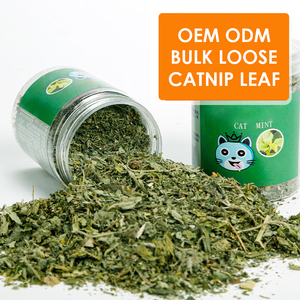Hierba gatera seca a granel al por mayor de China, hojas sueltas Cat Mint 100%, Hojas de hierba gatera gruesa fina fresca natural cortadas
