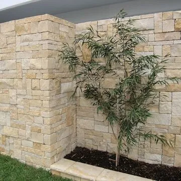 Nature Yellow Crema Limestone Tile and Wall Cladding