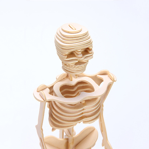 医学教育DIY 3D木制拼图骨架模型儿童人体解剖工具包盒装，带茎 - Product Image 6