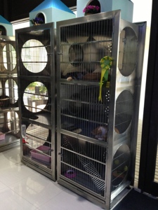 Jaulas Gatos KA-508C gabbie modulari per animali domestici in acciaio inossidabile di lusso Kandang Kucing Cage per allevamento di gatti - Product Image 2