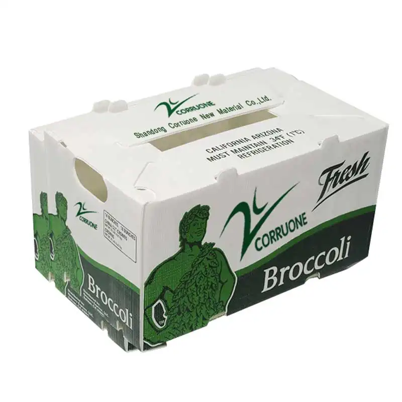 Contenitore di frutta contenitore di mais broccoli e scatole di verdure agricoltura imballaggio scatole di plastica