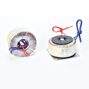 Amplificatore multiuso per trasformatore toroidale monofase con ingresso 220V e uscita 24V
