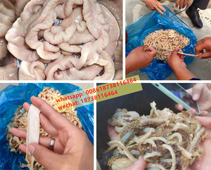 hog เครื่องทําความสะอาดปลอกลําไส้สําหรับปลอกไส้กรอก แกลบทริป เป็ด ไก่ น้ํายาทําความสะอาดลําไส้ อุปกรณ์ซักผ้า - Product Image 3