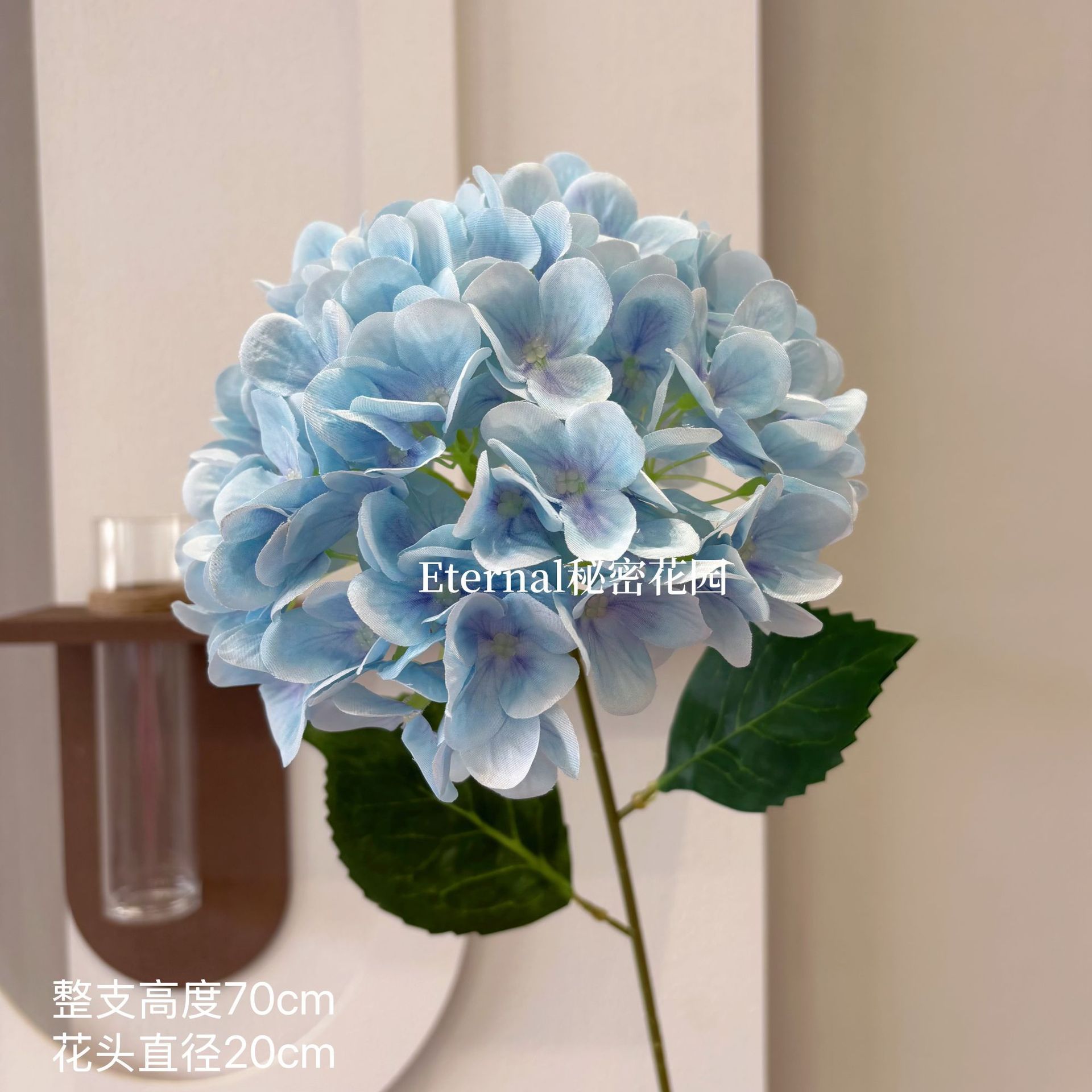 Hortensia de Bella, bleu clair