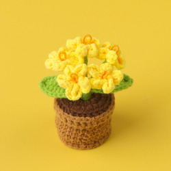 Yellow-5 forget-me-not potted plants (mini woolen pots)