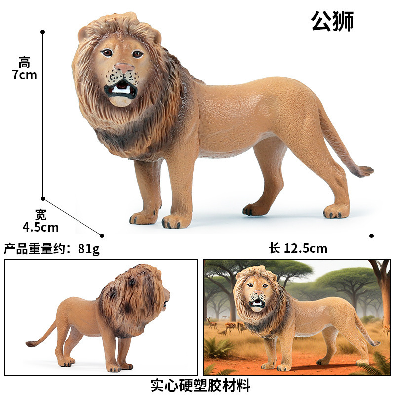Male Lion
