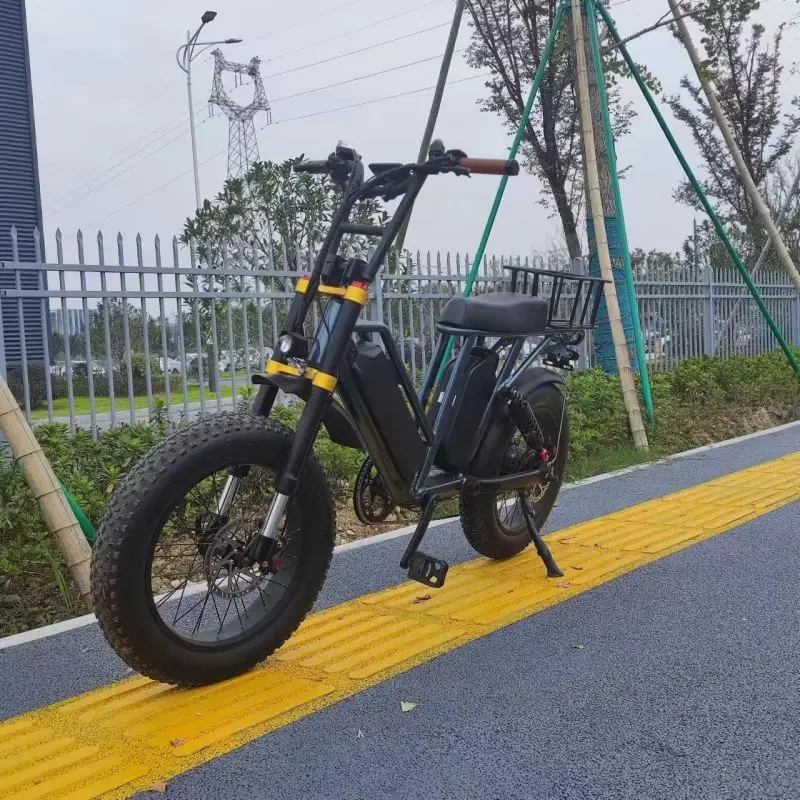 2024 Offre Spéciale 48V vélo électronique Ebike moto électrique vélo avec 20 pouces gros pneu fourche à Suspension complète vélo électrique
