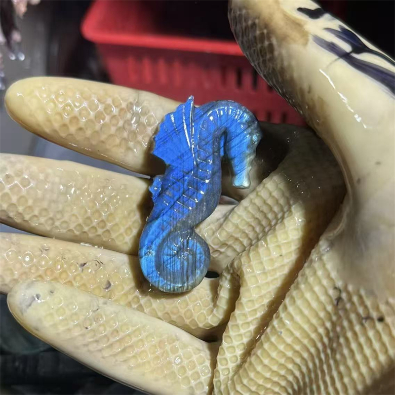 Hippocampe