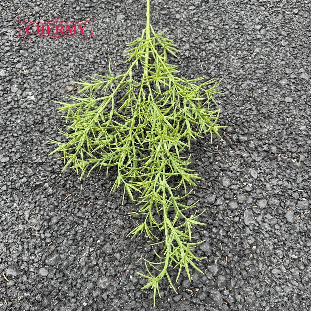 #2 Plantes de Romarin Vert - 79cm