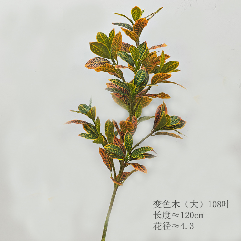 Color-changing wood, orange-green, H120cm