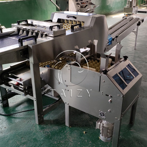 Egg Tray Loading <strong>Machine</strong> <strong>Automated</strong> Chicken Egg Pack <strong>Machine</strong> Egg <strong>Sorting</strong> and Pack <strong>Machine</strong> - Product Image 4