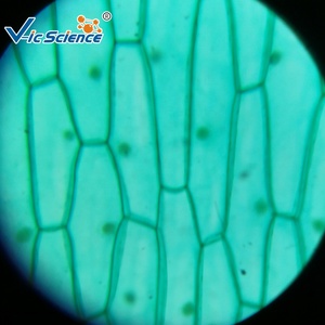 Toboganes para enseñanza de plantas, microscopio para preparación de planta, 100% - Product Image 5