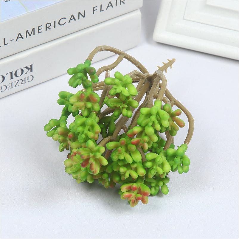 34 Gladius Fruit Green 13x13cm 74.5g