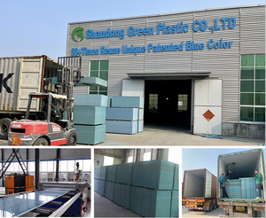 2023 मार्क निविड़ अंधकार पुन: प्रयोज्य 18mm 20mm 21mm 1250x2500mm प्लास्टिक पीवीसी Formwork Shuttering प्लाईवुड - Product Image 5