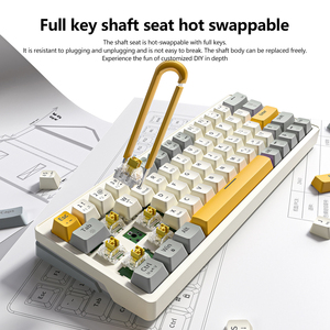 Wired <strong>Keyboard</strong> 63 <strong>Keys</strong> Customized Gaming <strong>Keyboard</strong> <strong>Computer</strong> Notebook Teclado Mecanico RGB Hot-swappable Mechanical <strong>Keyboard</strong> - Product Image 3