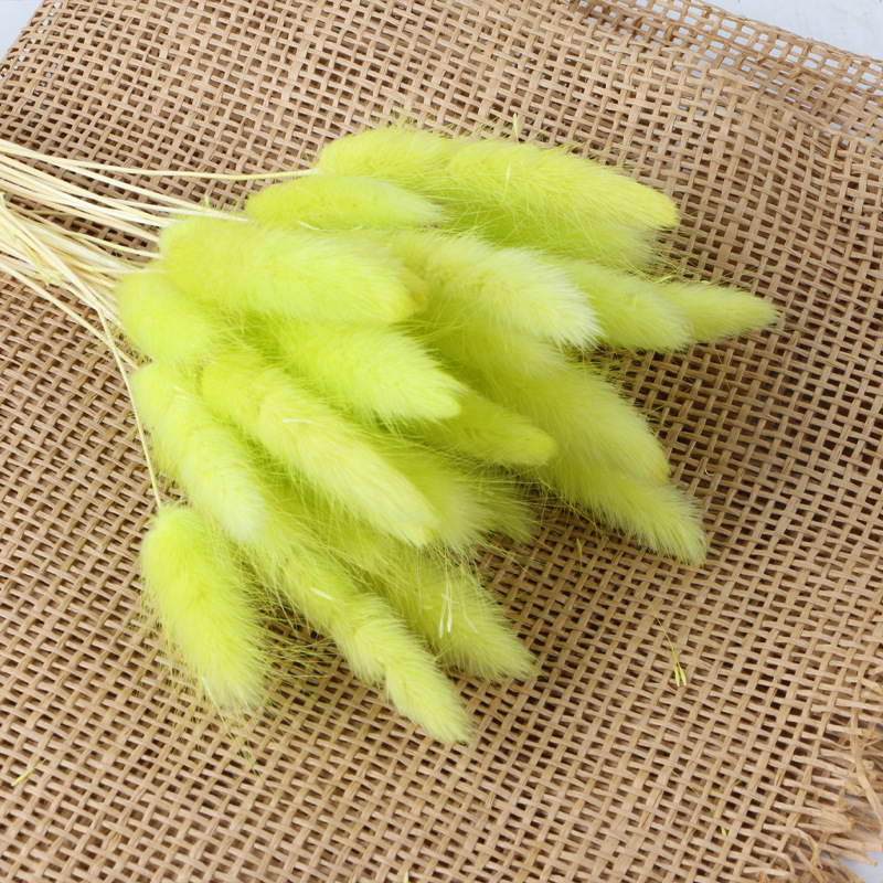 Jaune-vert (env.30 pièces)
