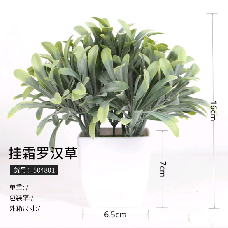 504801 herbe de luohan de gel suspendue (à partir de 125 pots)