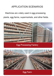 Eier sortiermaschine, die schlechte Eier mit einer leichten Eier sortiermaschine zum Verkauf erkennen kann - Product Image 4
