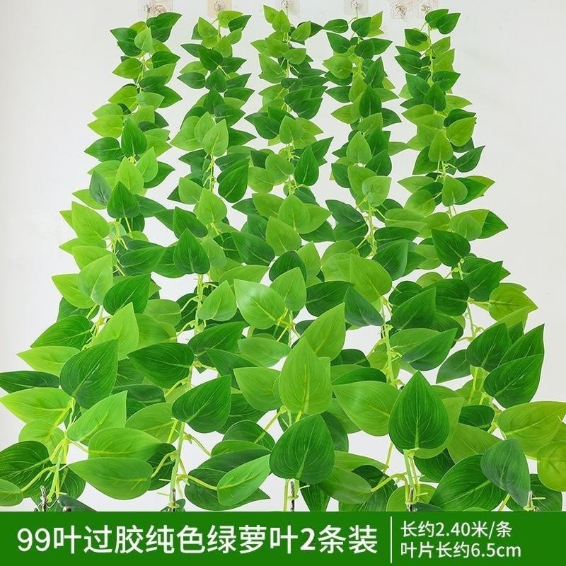 99 morceaux de vignes de pothos collées, paquet de 2