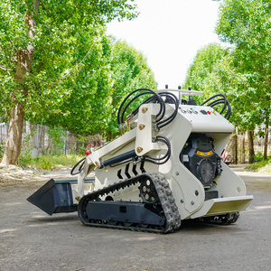 Fast Delivery! Skid Steer <strong>Loader</strong> with Track Mini Skid Steer Track <strong>Loader</strong> Skid Steer - Product Image 1