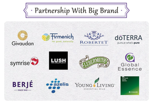 Alta Pureza Delta Undecalactone 710-04-3 Natural Maior Fornecimento de Qualidade em Massa para Alimentos - Product Image 6