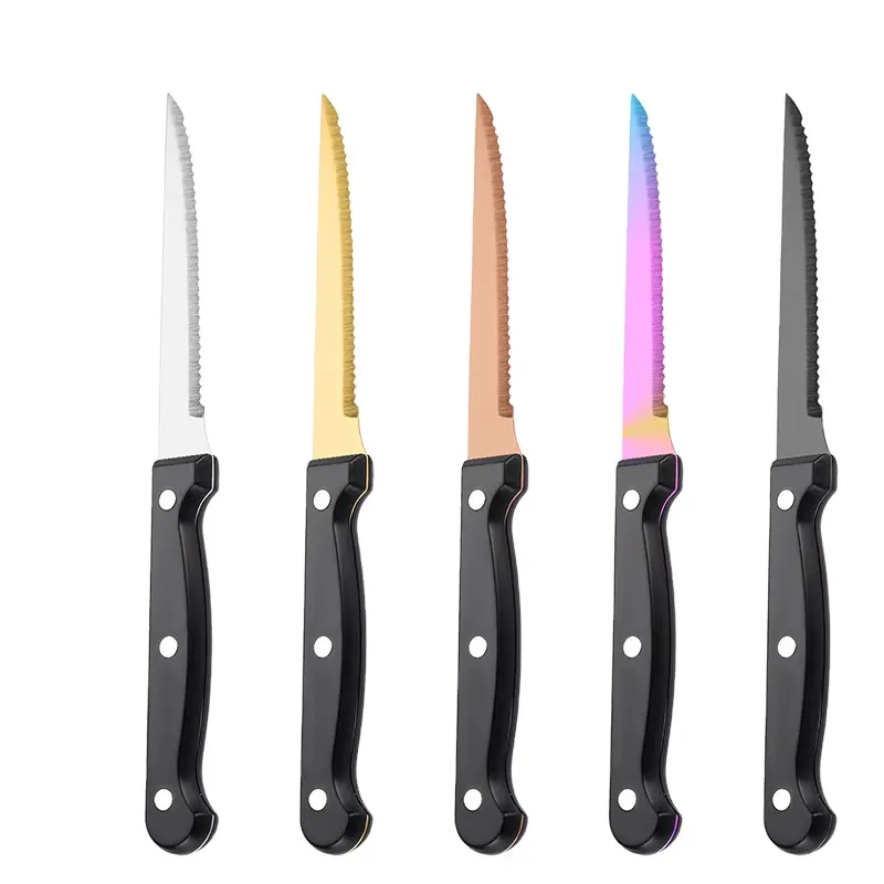 Özel logo biftek paslanmaz çelik biftek fileto bıçak bıçaklar restoran plastik saplı biftek et kesme bıçağı seti mutfak