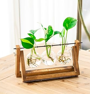 木製スタンド卓上プランター<span class=keywords><strong>3</strong></span>球根花瓶水耕栽培家の庭の装飾-プランター植物テラリウムナチュラルカラー
