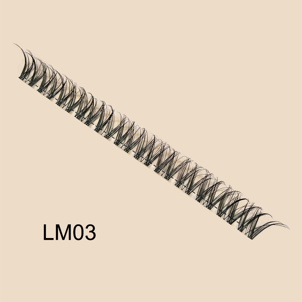 LM03