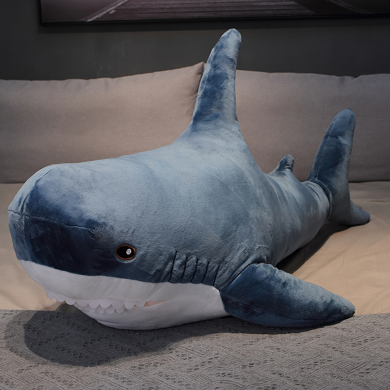 Requin