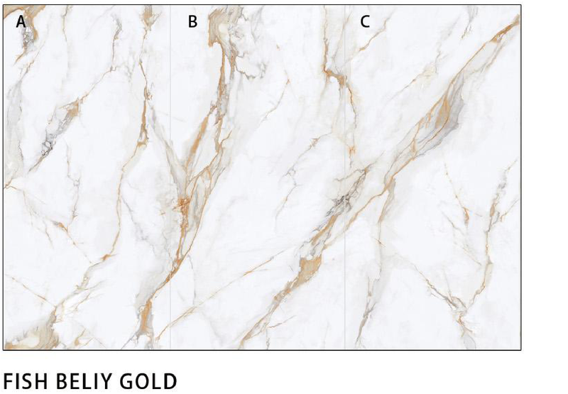 FISH BELIY GOLD