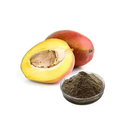 Extrait de graines de mangue africaine/Extrait d'Irvingia Gabonesis 7%-25% Poudre de flavone protéinée en vente