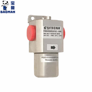 İtalya Sitecna F serisi yüksek akış filtresi coa316l 1/4 ''NPT kaplama filtreleme elemanı ile, SS basınç göstergesi - Product Image 6