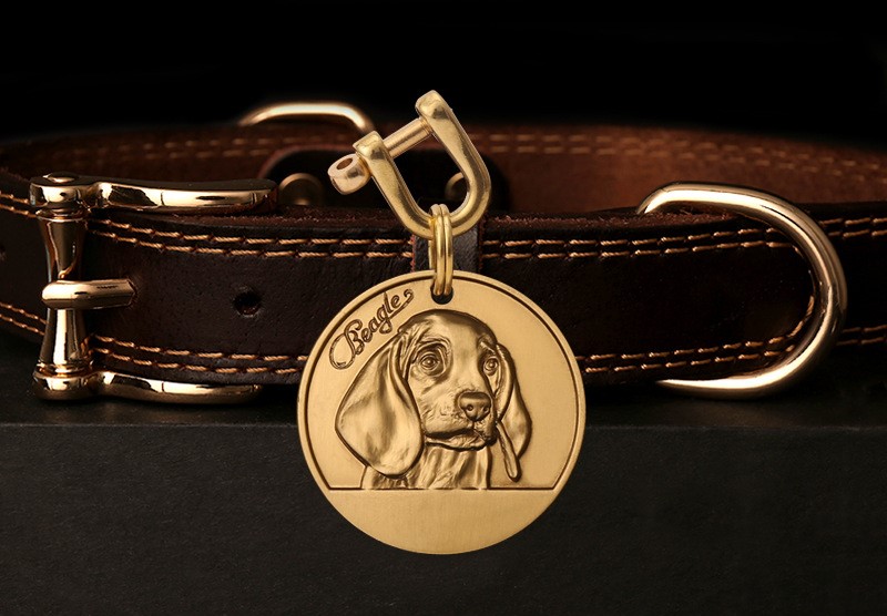 Beagle