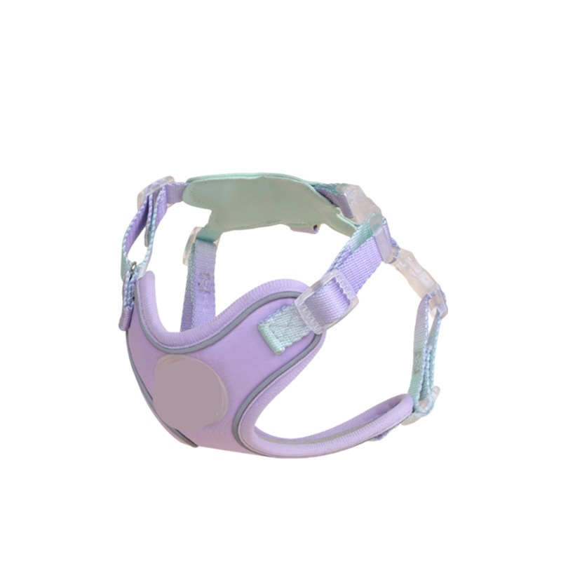 Viola