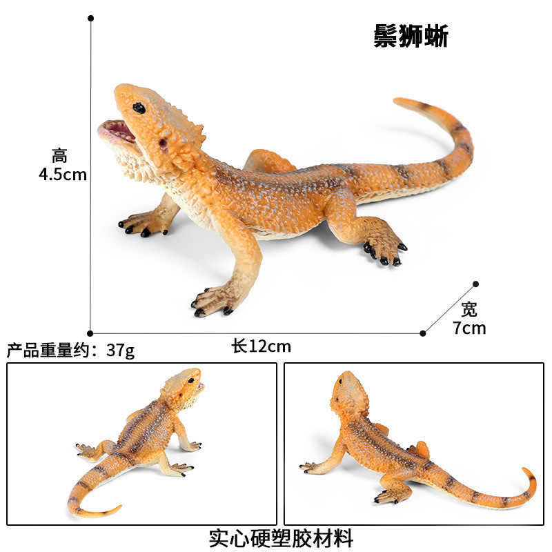 M-1599Bearded Dragon