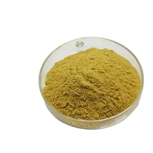 New Stock Wholesale Hypoglycemic Bitter Melon Extract Vegetable Powder